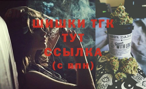 mdpv Ельня