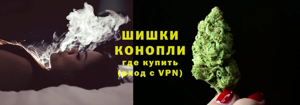 гидра Заводоуковск