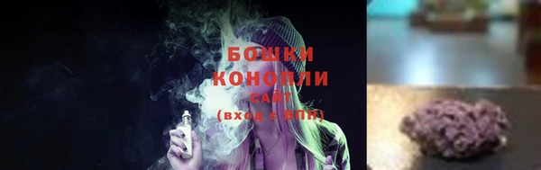 mdpv Ельня
