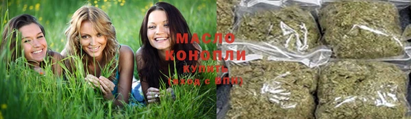 mdpv Ельня