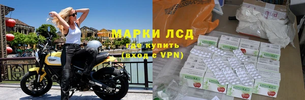mdpv Елизово