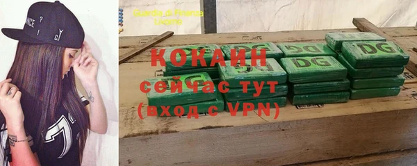 mdpv Ельня