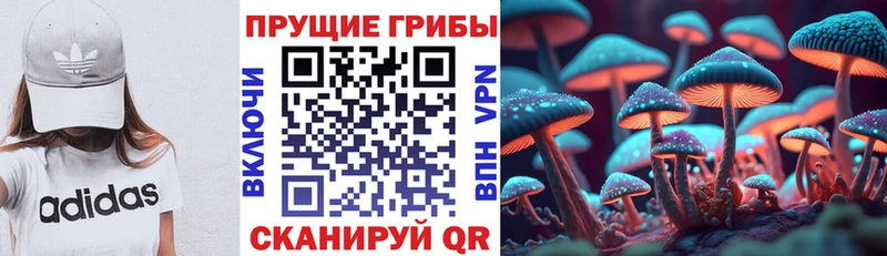Галлюциногенные грибы мухоморы  Купить закладки  Губкин 
